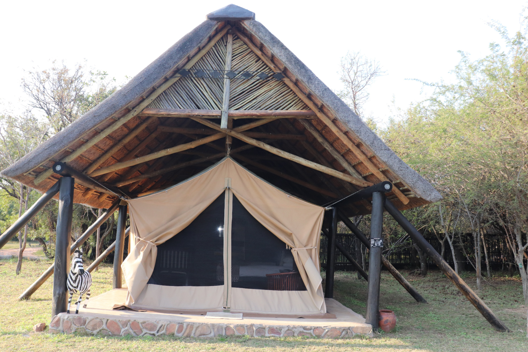 A close elephant pair in soft safari light.